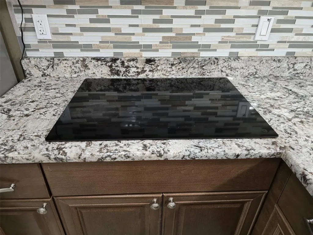 4115 Chatham Oak Court Tampa FL 33624