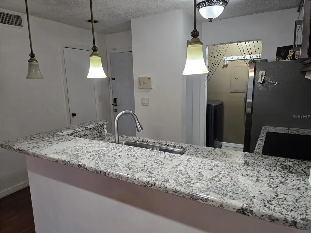 4115 Chatham Oak Court Tampa FL 33624