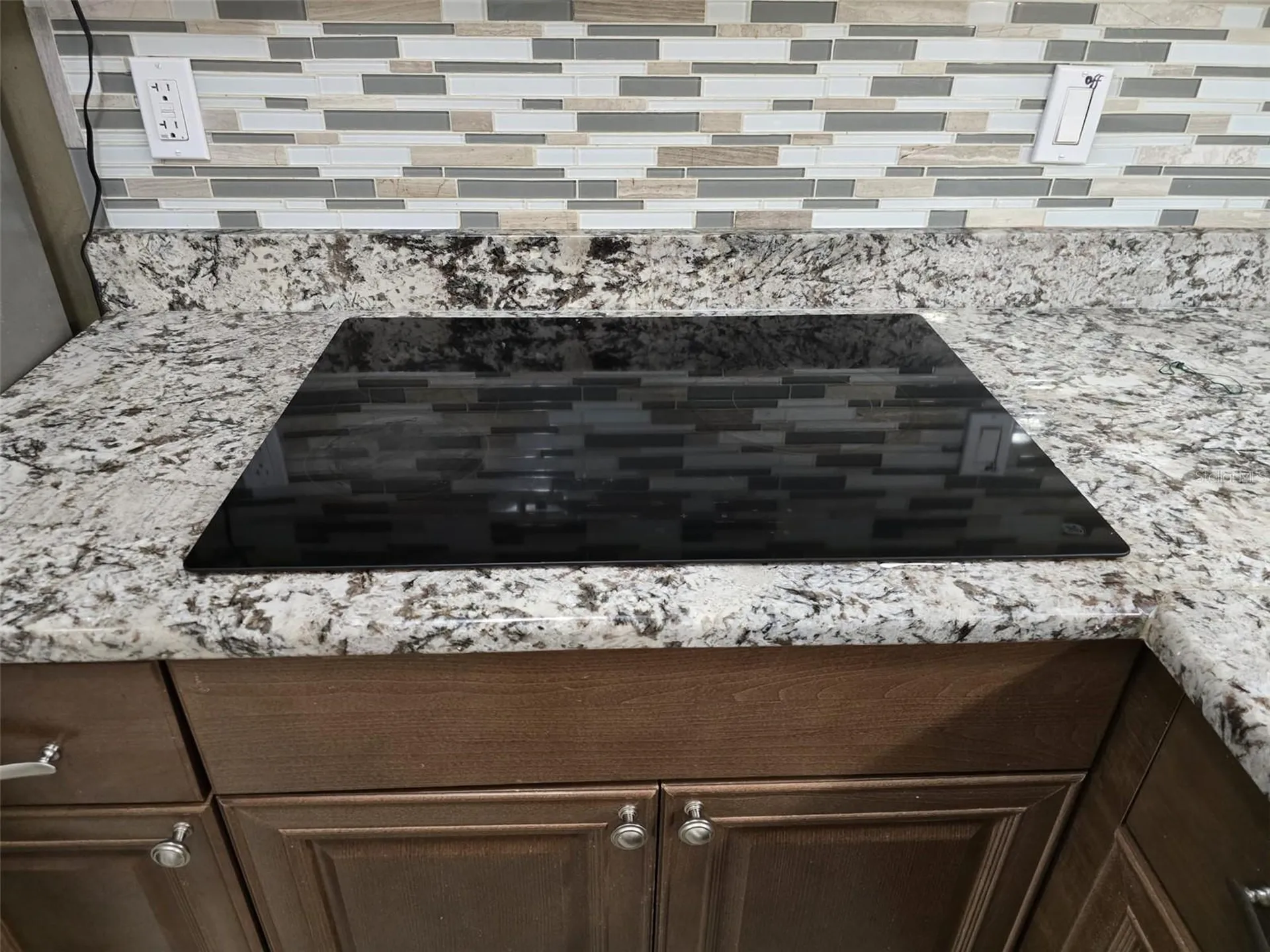 4115 Chatham Oak Court Tampa FL 33624