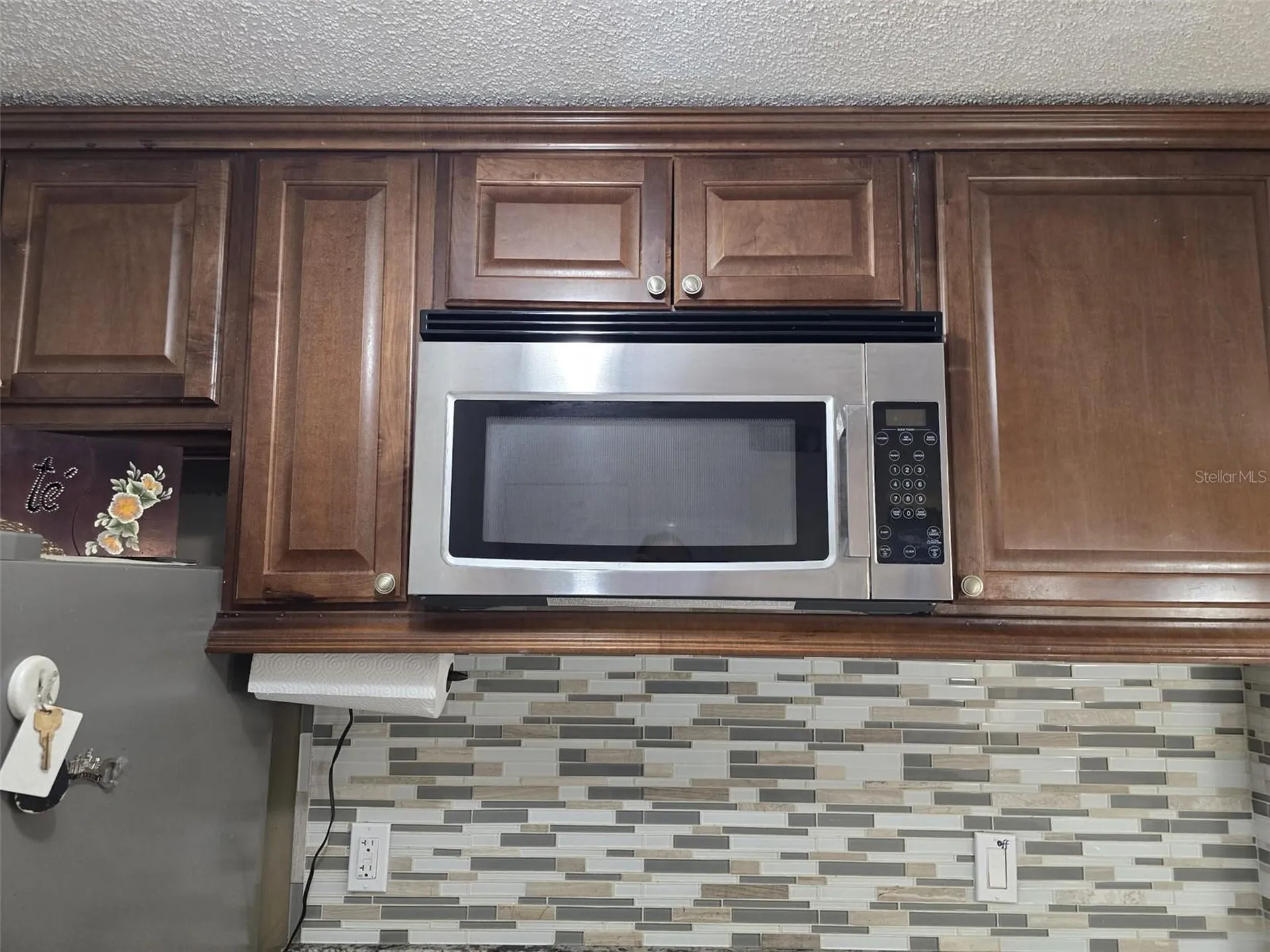 4115 Chatham Oak Court Tampa FL 33624
