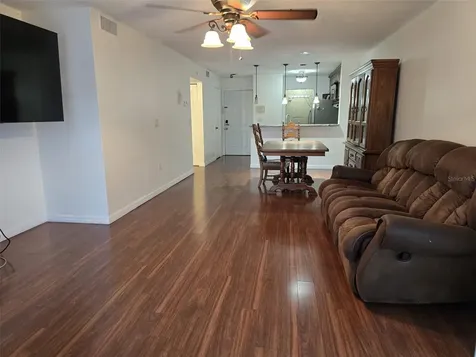 4115 Chatham Oak Court Tampa FL 33624