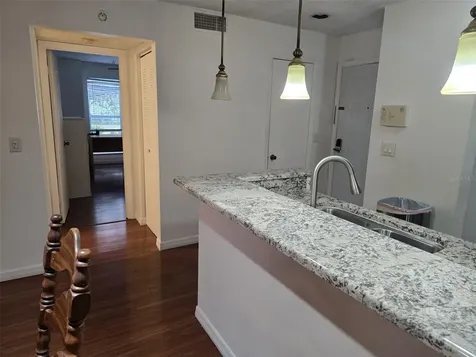 4115 Chatham Oak Court Tampa FL 33624