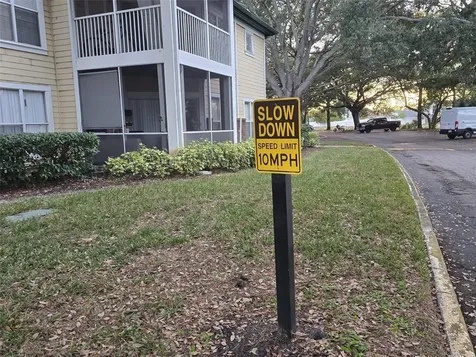 4115 Chatham Oak Court Tampa FL 33624