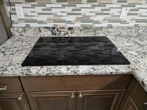 4115 Chatham Oak Court Tampa FL 33624