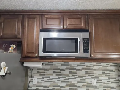 4115 Chatham Oak Court Tampa FL 33624