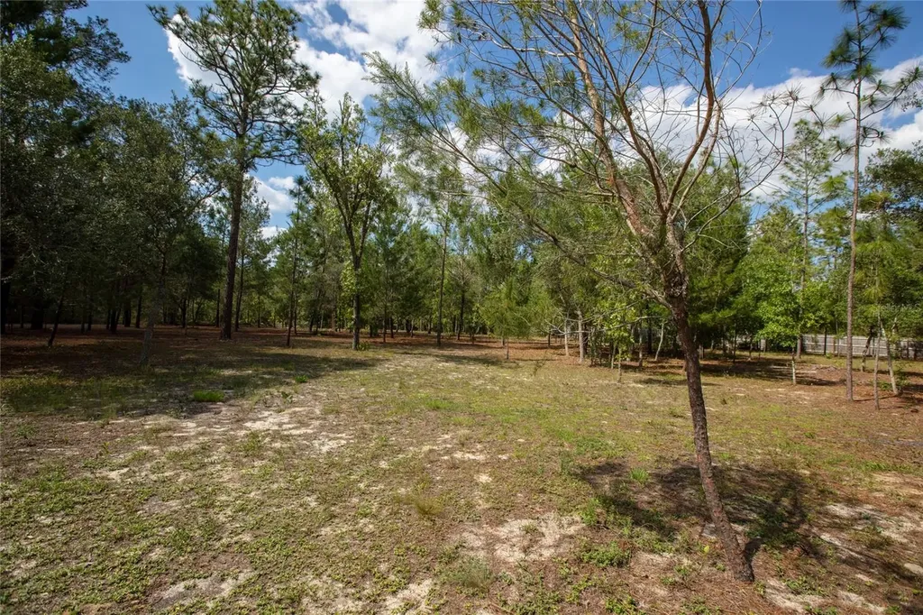 5670 Acadia Street Keystone Heights FL 32656