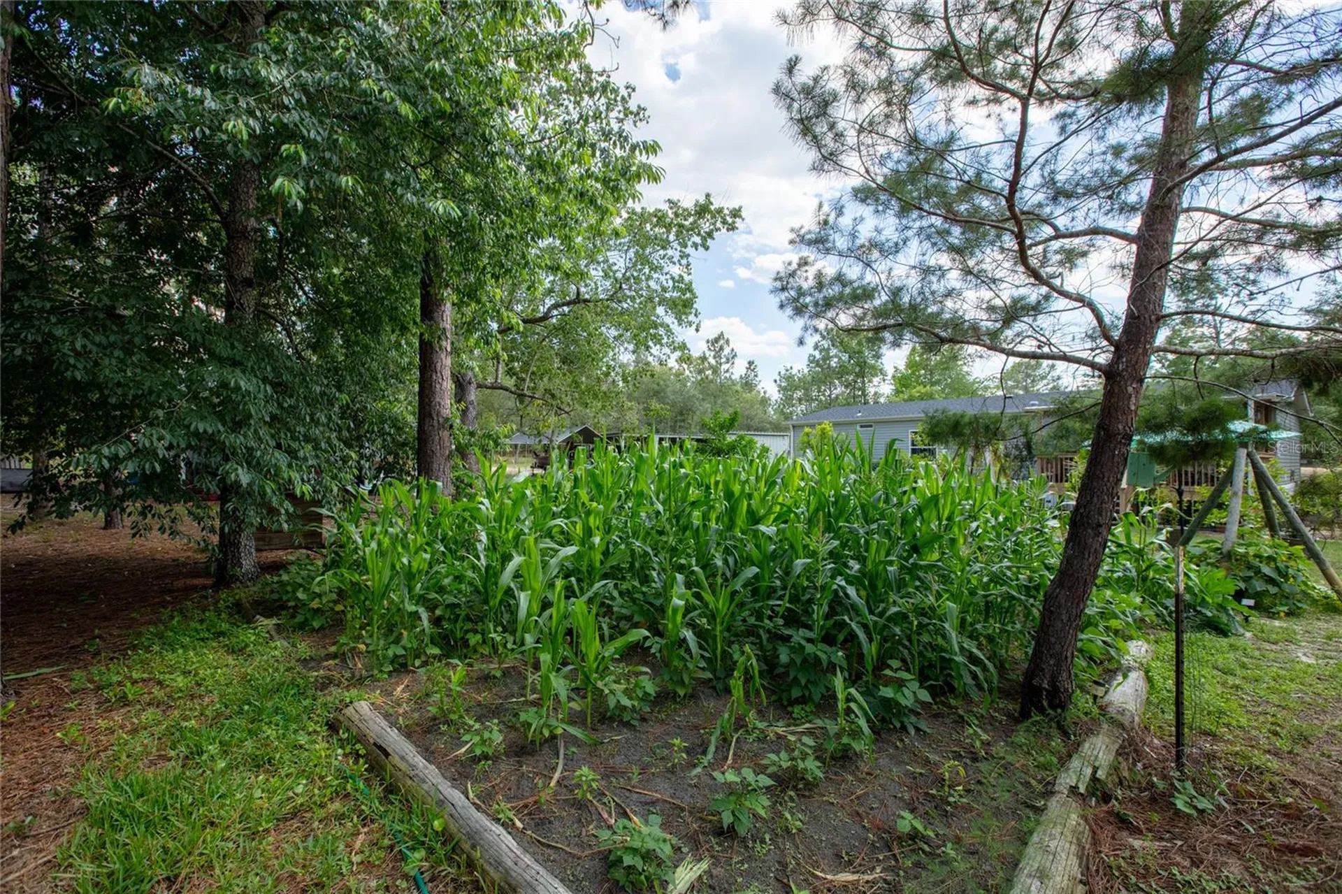 5670 Acadia Street Keystone Heights FL 32656