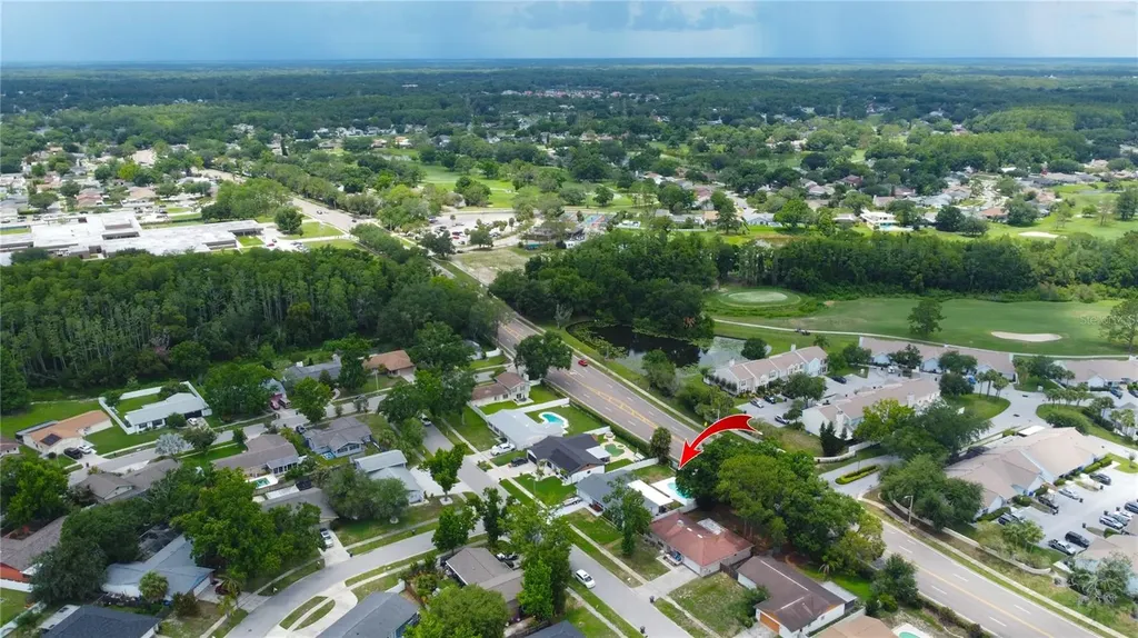 4313 Hollow Hill Drive Tampa FL 33624
