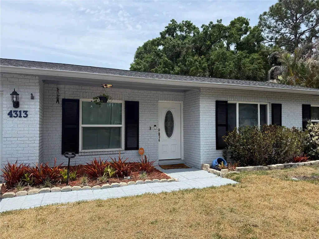 4313 Hollow Hill Drive Tampa FL 33624