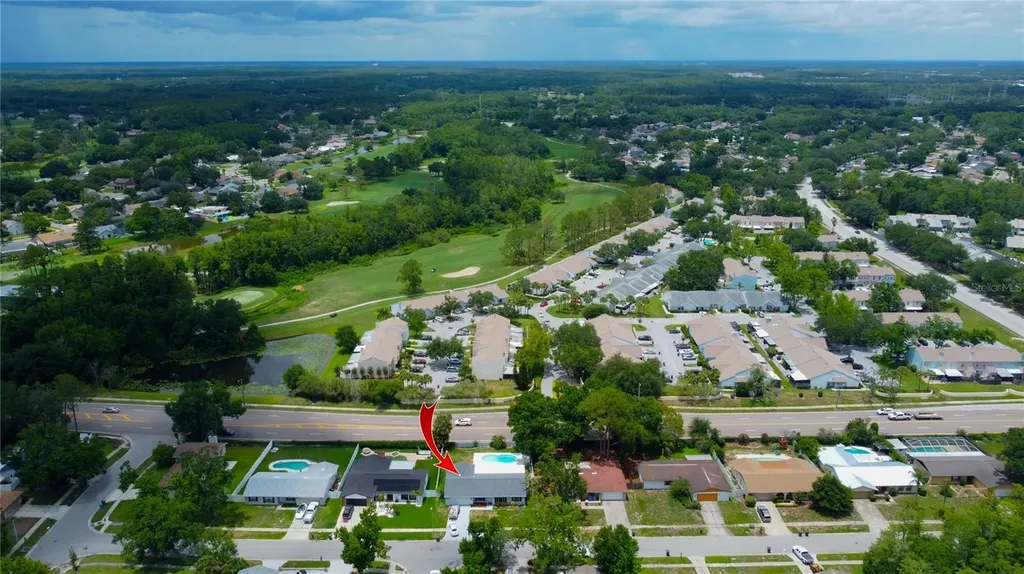 4313 Hollow Hill Drive Tampa FL 33624
