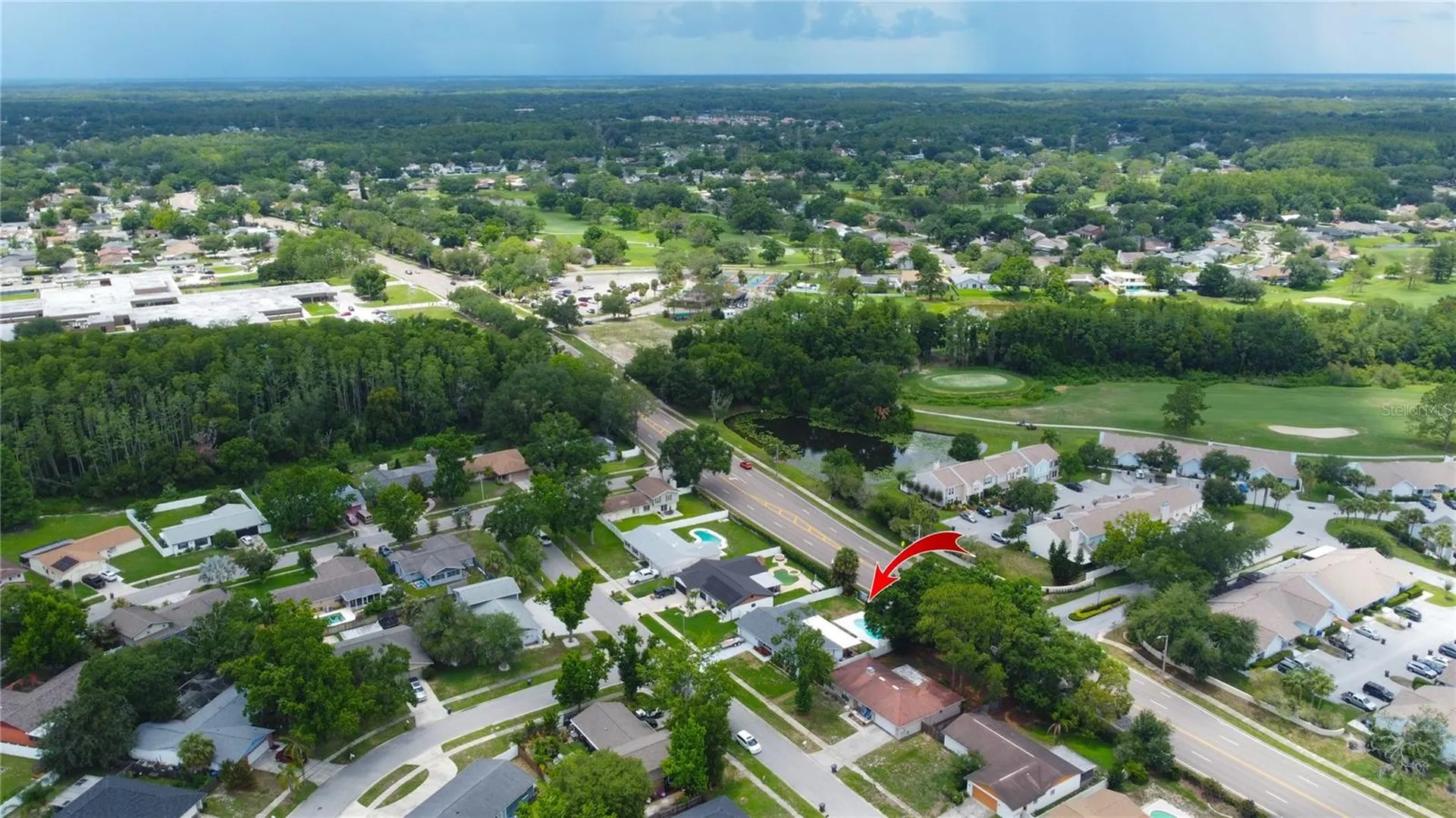 4313 Hollow Hill Drive Tampa FL 33624
