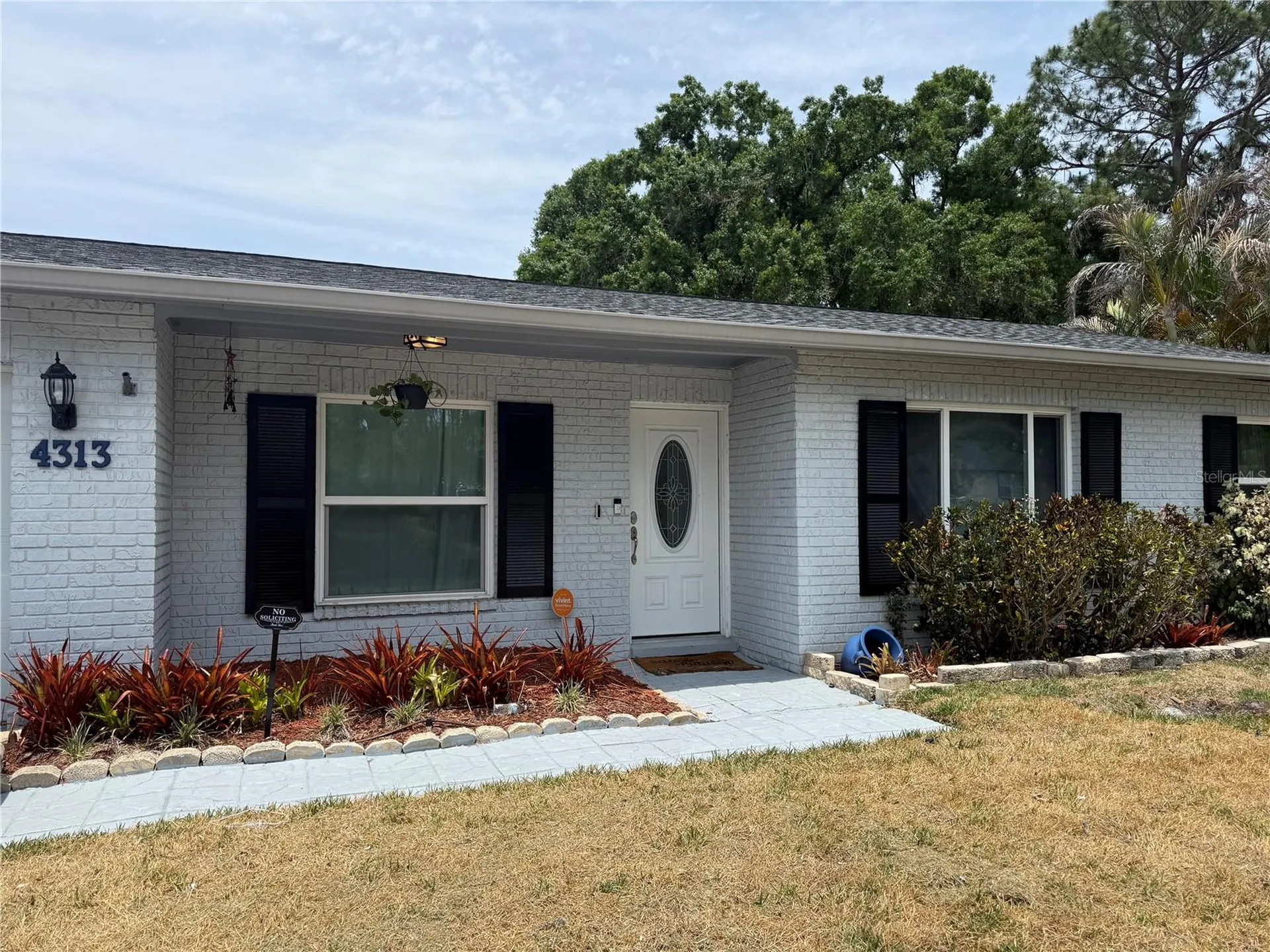4313 Hollow Hill Drive Tampa FL 33624