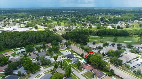 4313 Hollow Hill Drive Tampa FL 33624