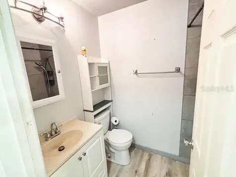 121 E Pine Street Howey In The Hills FL 34737