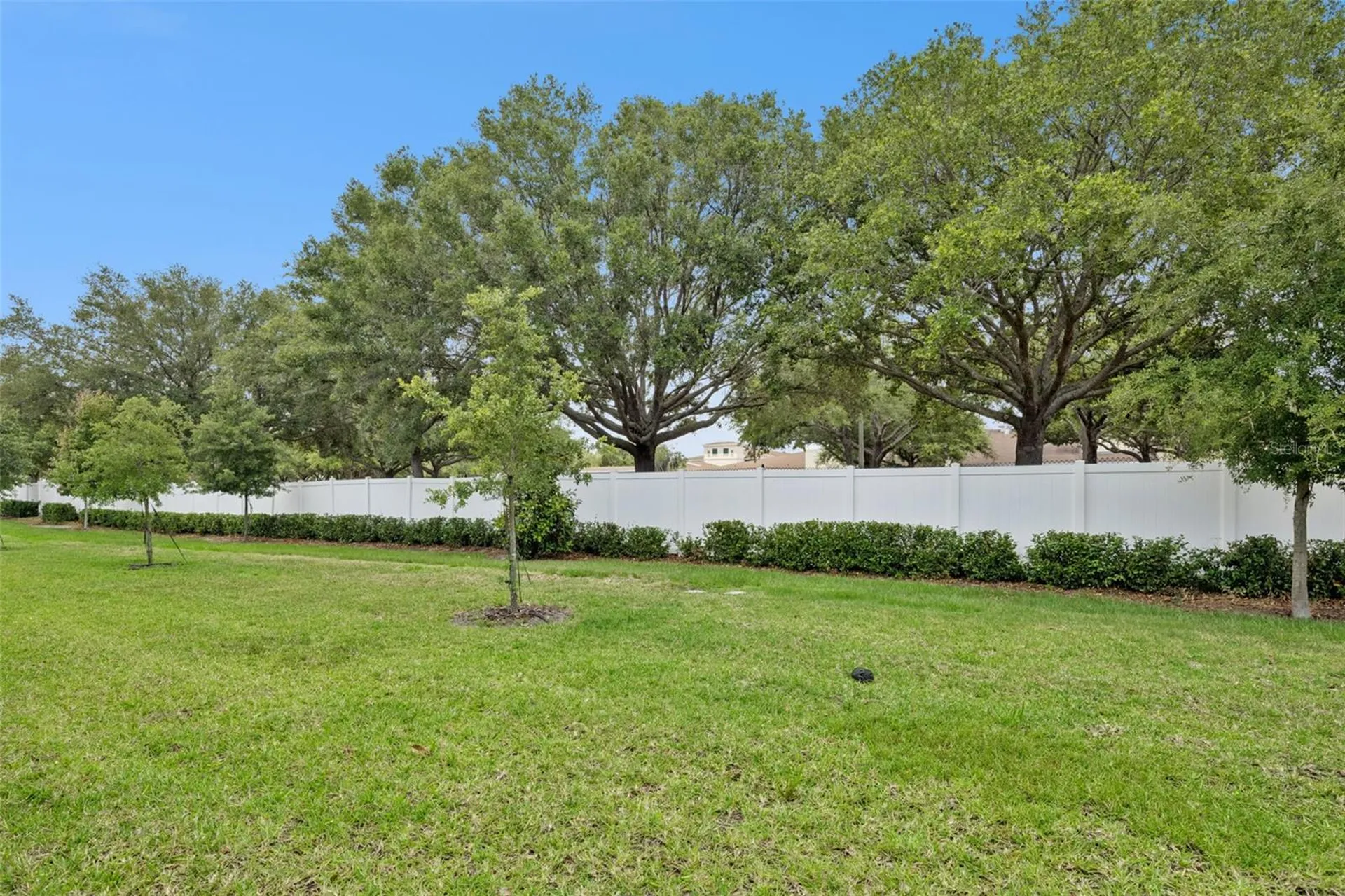 2097 Crape Jasmine Lane Orlando FL 32824