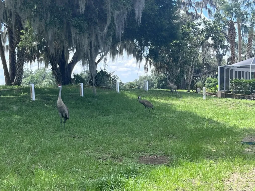 1209 N Timucuan Trail Inverness FL 34453