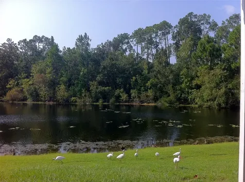 2468 Sweetwater Club Circle Kissimmee FL 34746