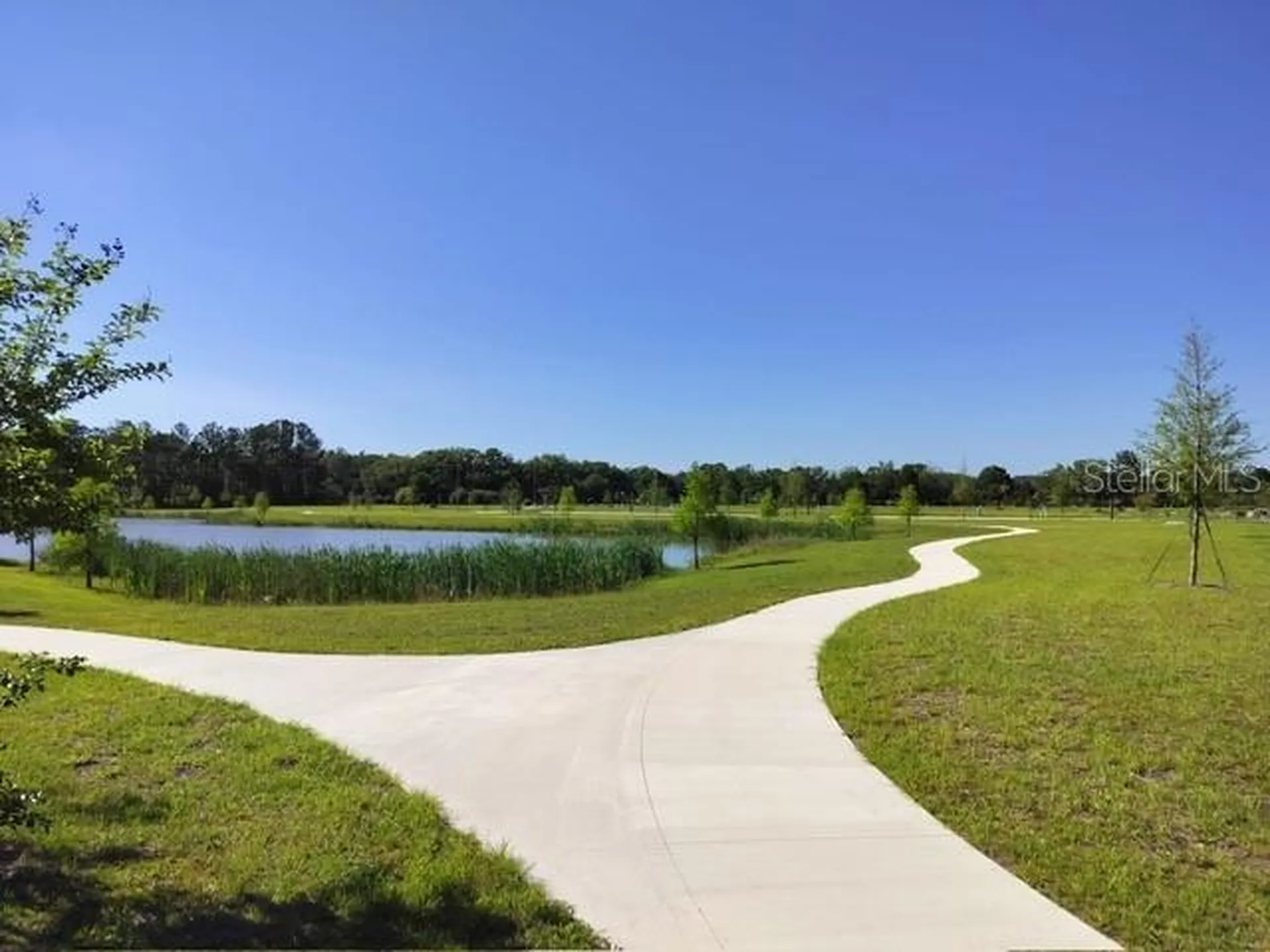 1358 Kings Crown Street Mount Dora FL 32757