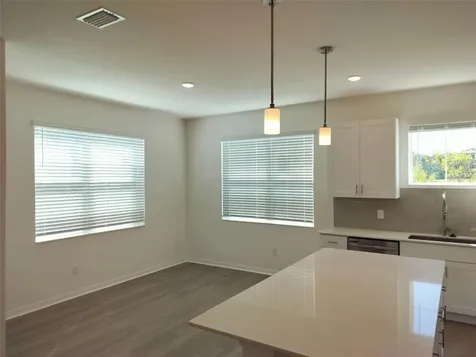 1358 Kings Crown Street Mount Dora FL 32757
