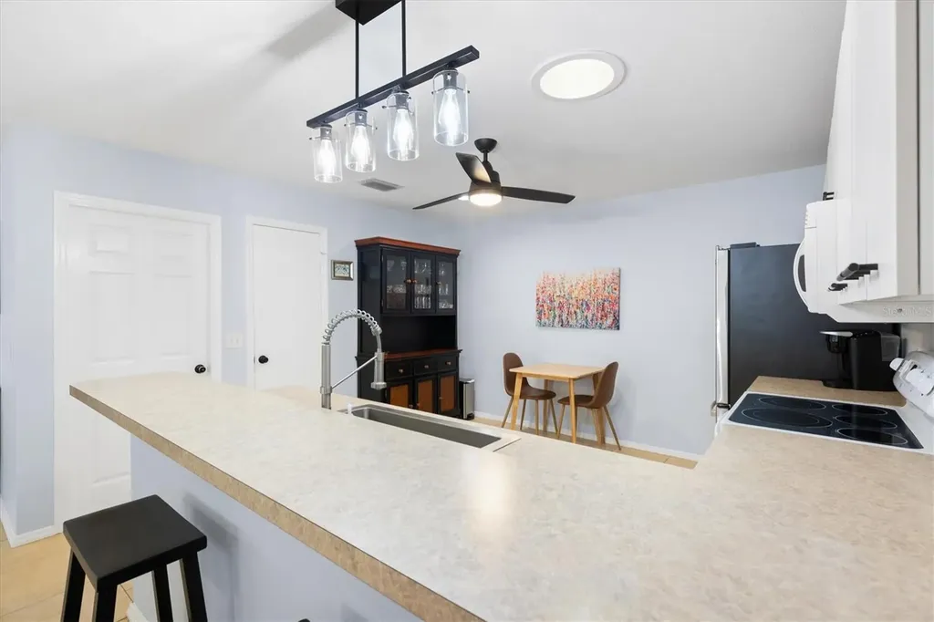 3541 Roanoke Street The Villages FL 32162