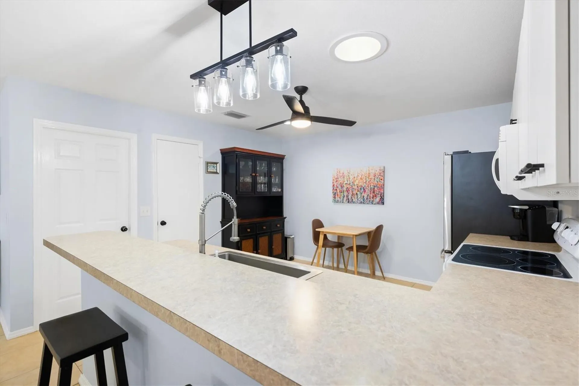 3541 Roanoke Street The Villages FL 32162