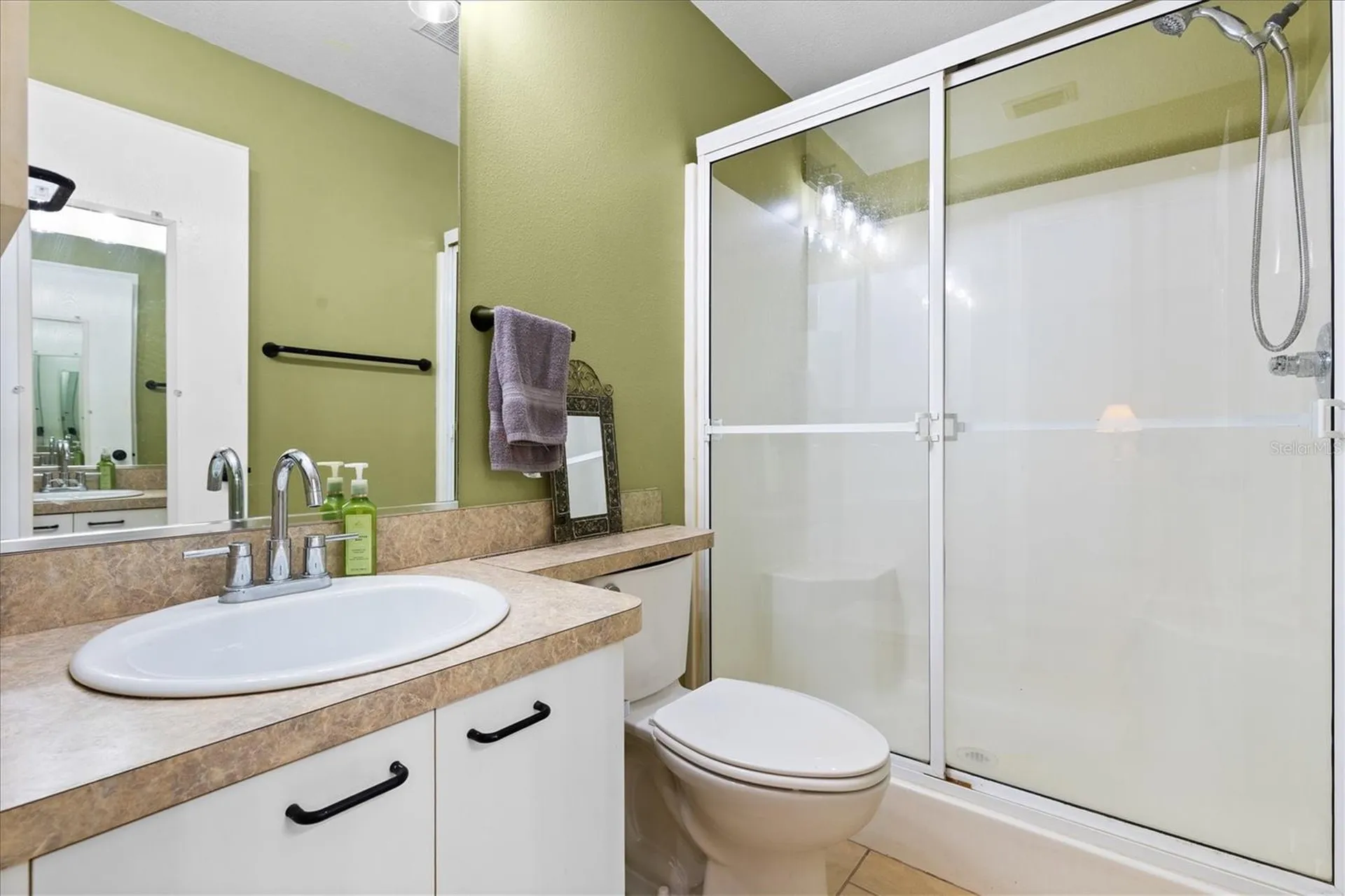 3541 Roanoke Street The Villages FL 32162