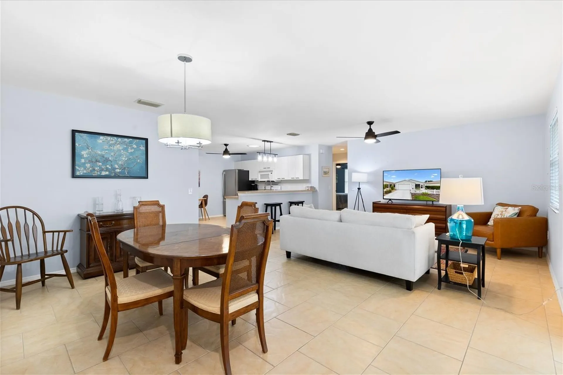 3541 Roanoke Street The Villages FL 32162