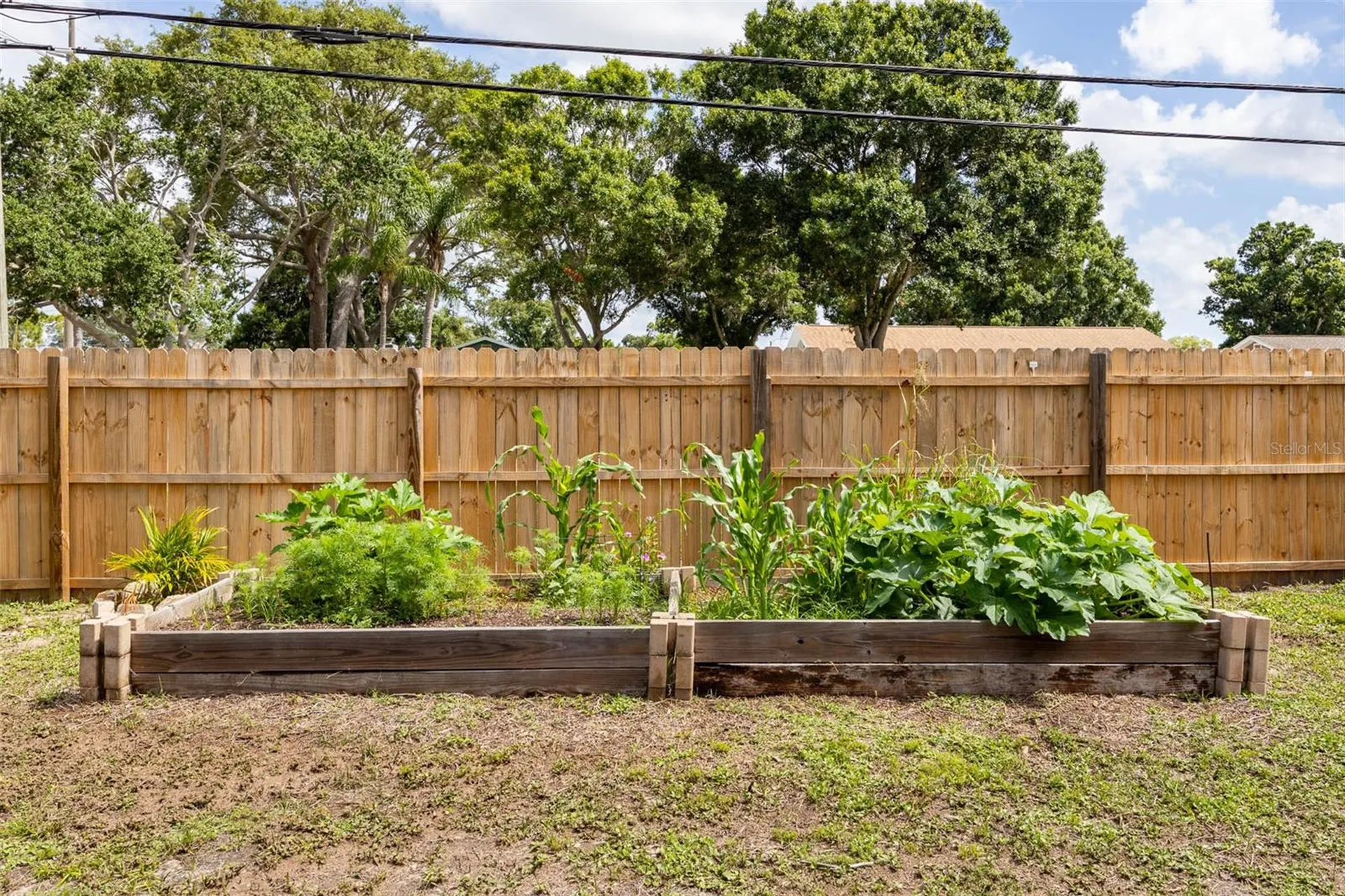 12481 Regency Avenue Seminole FL 33772