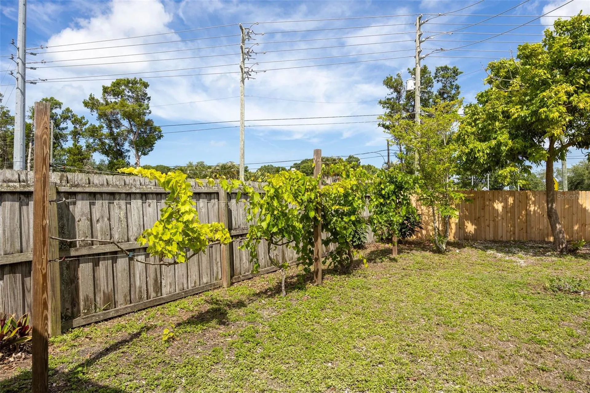 12481 Regency Avenue Seminole FL 33772
