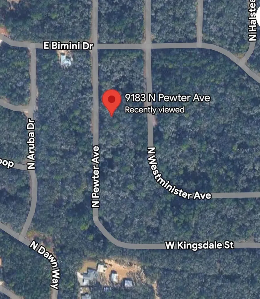 9183 N Pewter Avenue Dunnellon FL 34434