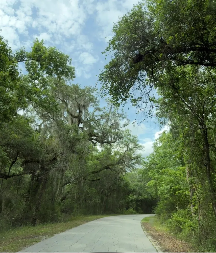 County Road 707 Webster FL 33597