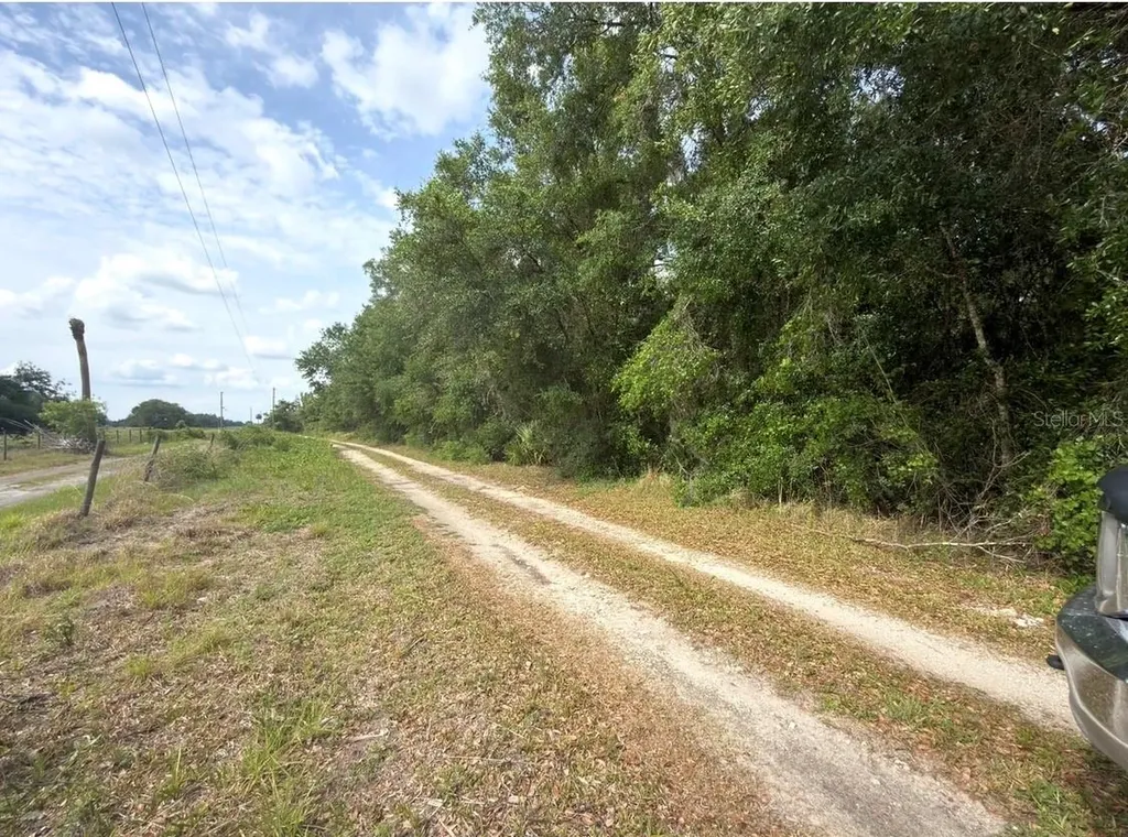 County Road 707 Webster FL 33597