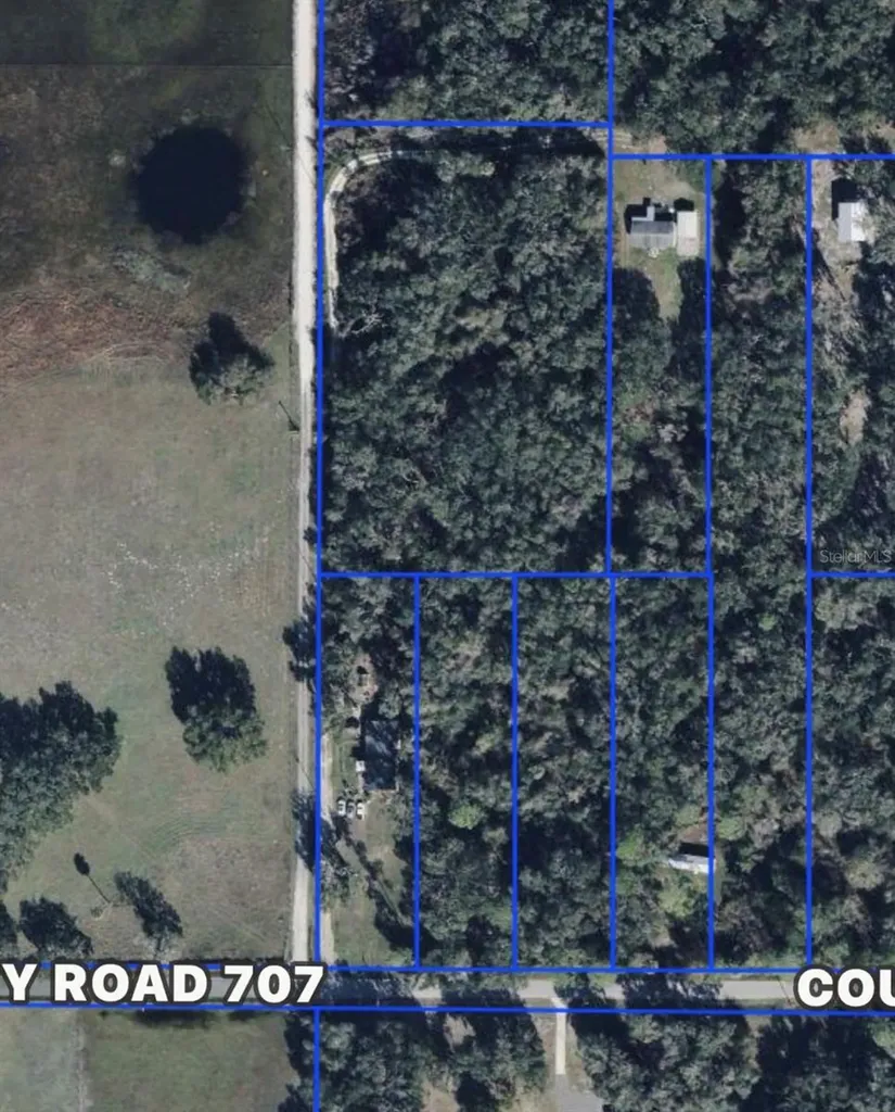 County Road 707 Webster FL 33597