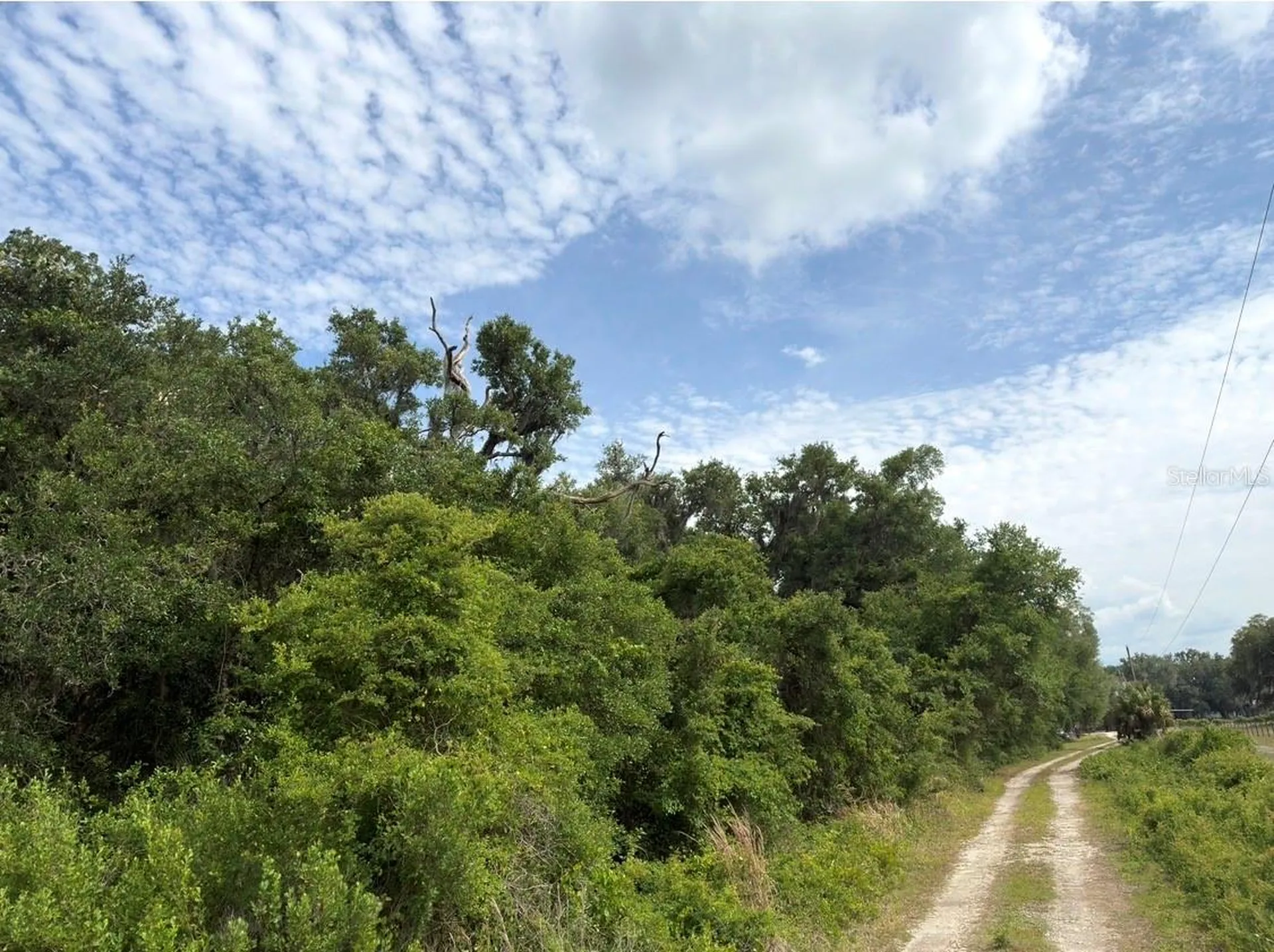 County Road 707 Webster FL 33597