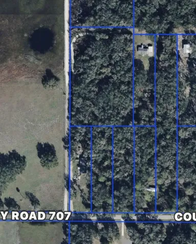 County Road 707 Webster FL 33597