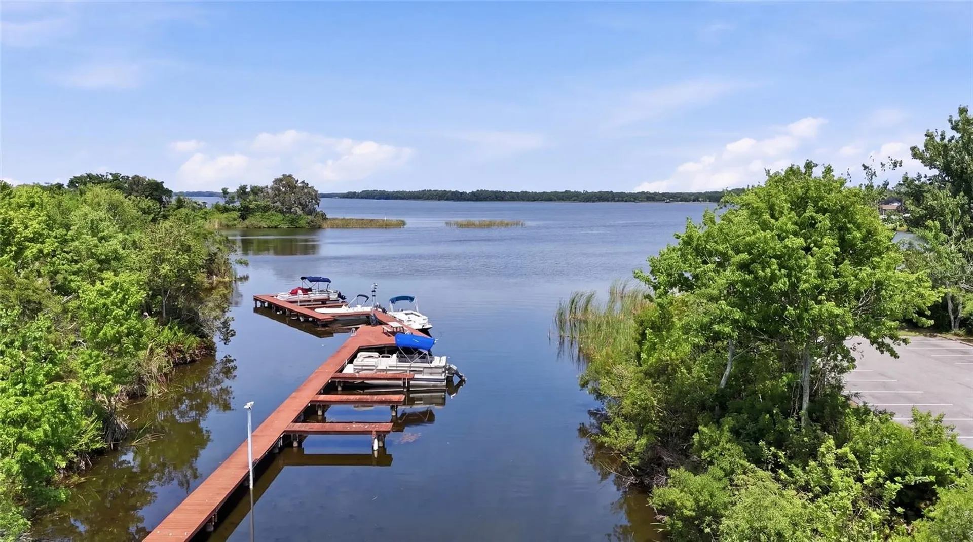 2533 Dolly Bay Drive Palm Harbor FL 34684