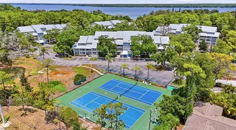 2533 Dolly Bay Drive Palm Harbor FL 34684