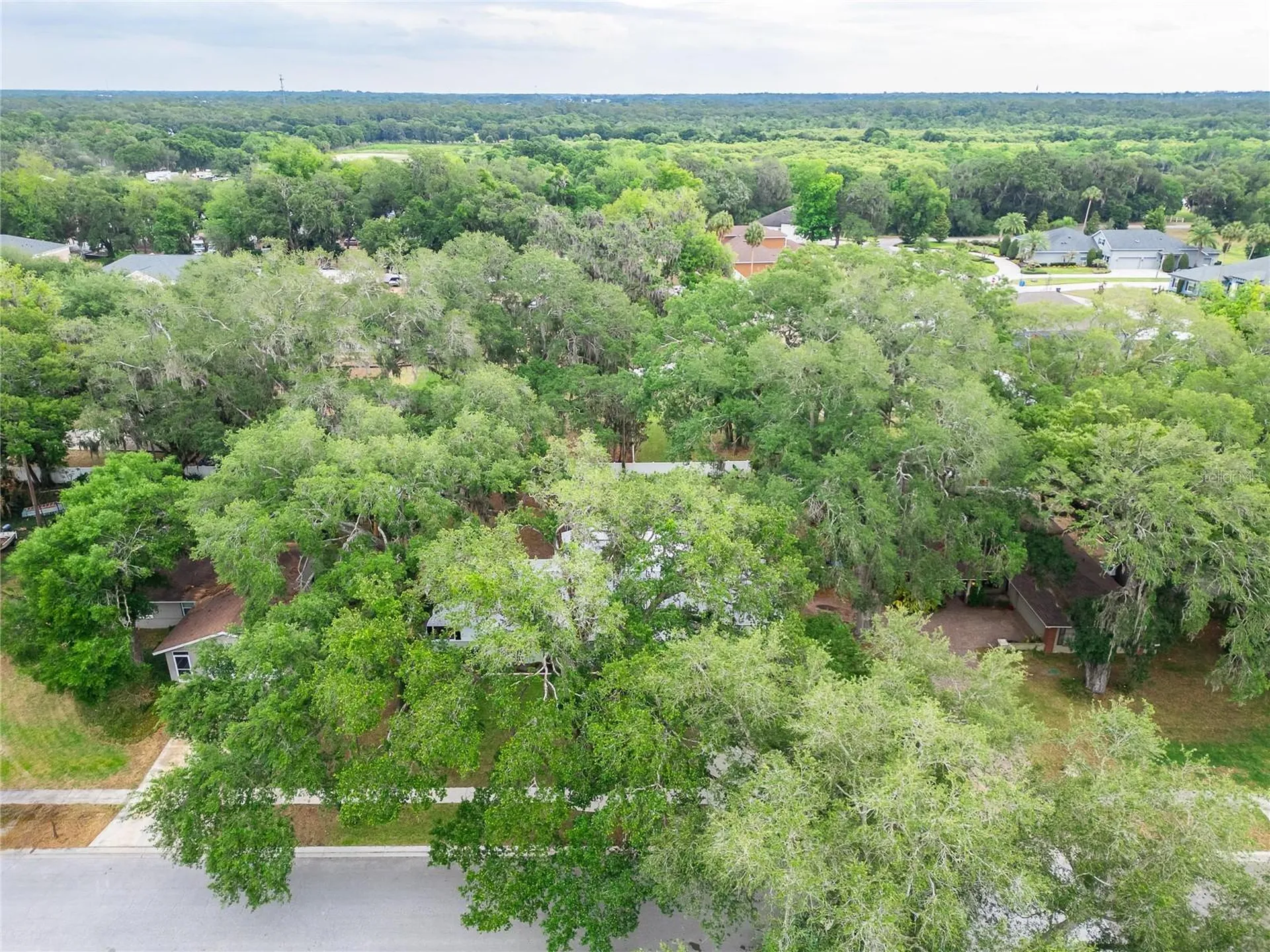 903 Old Darby Street Seffner FL 33584