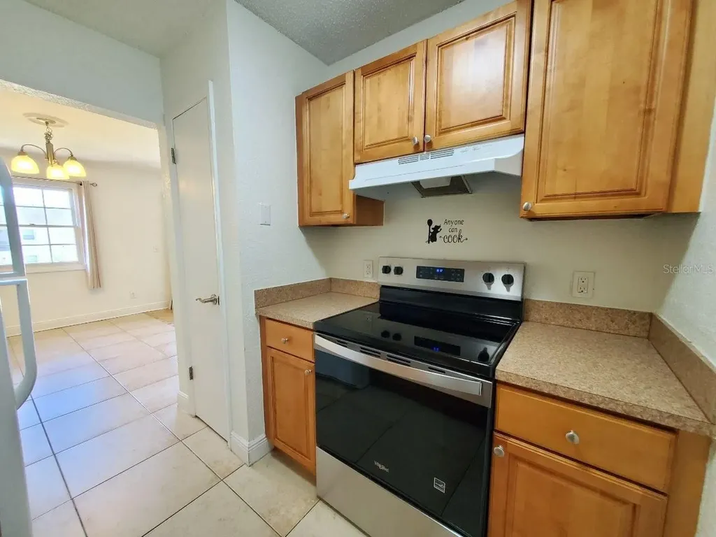 13832 Orange Sunset Drive Tampa FL 33618