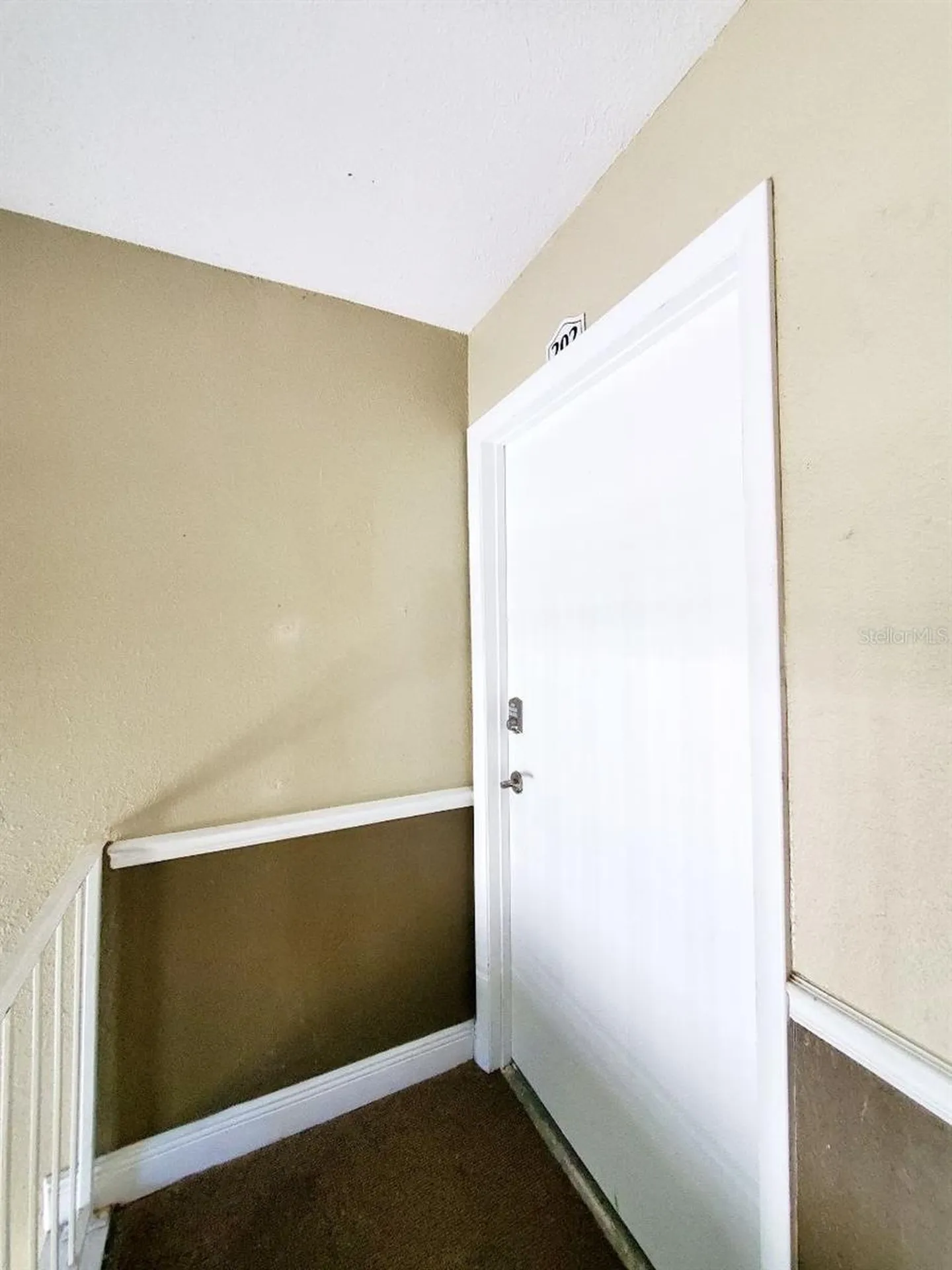 13832 Orange Sunset Drive Tampa FL 33618