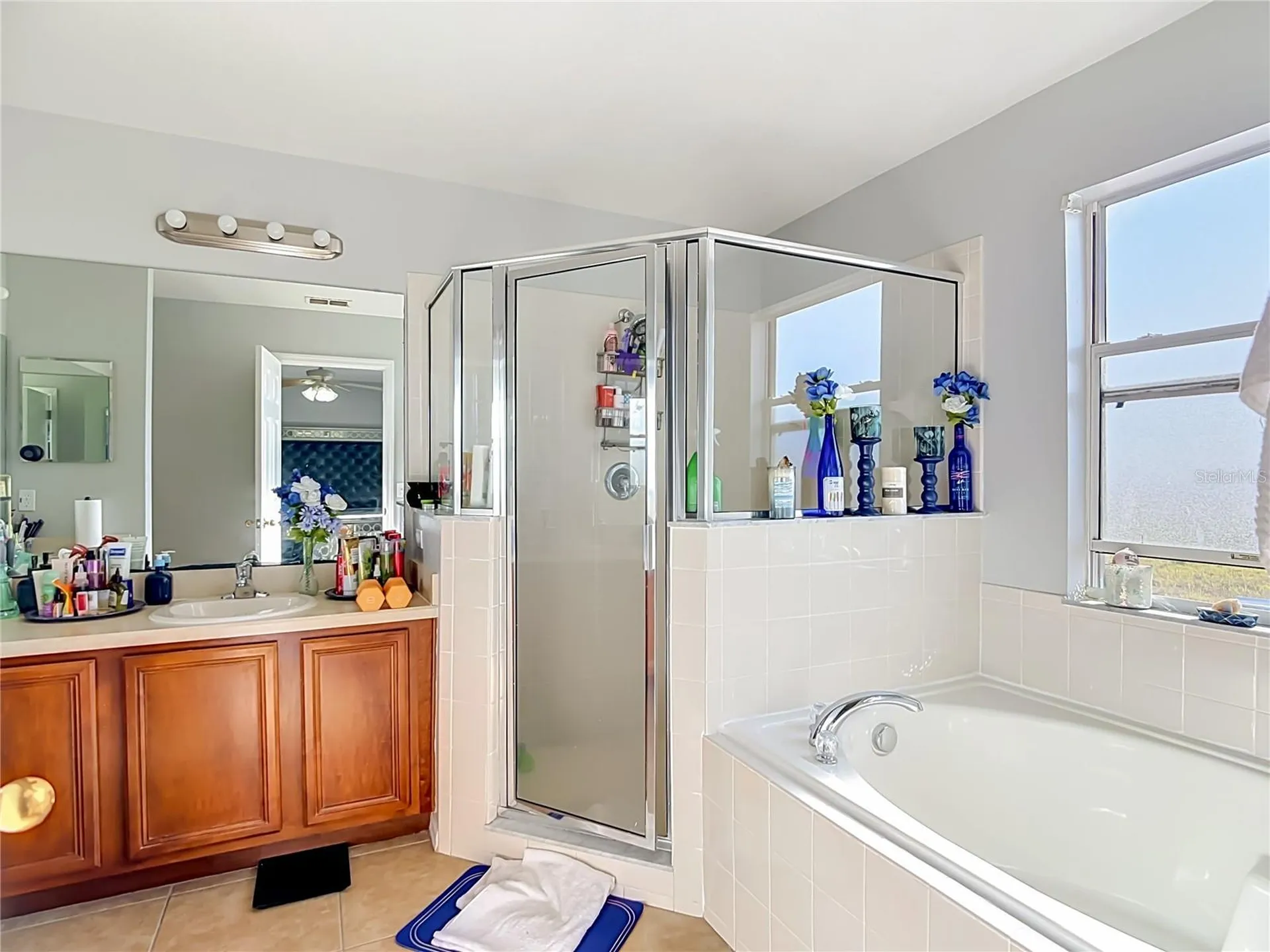 1425 Nelson Brook Way Kissimmee FL 34759