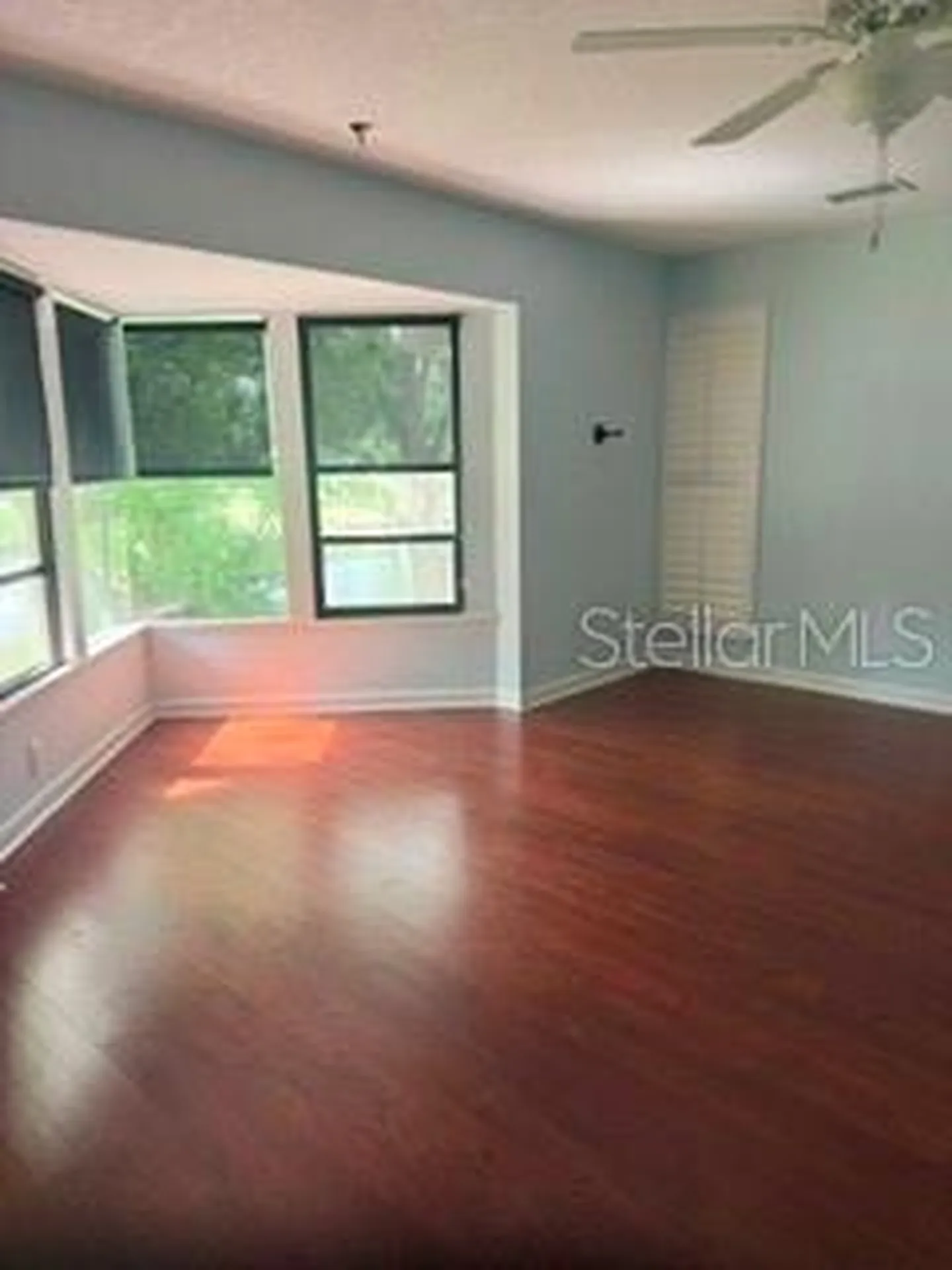 485 Westlake Boulevard Palm Harbor FL 34683