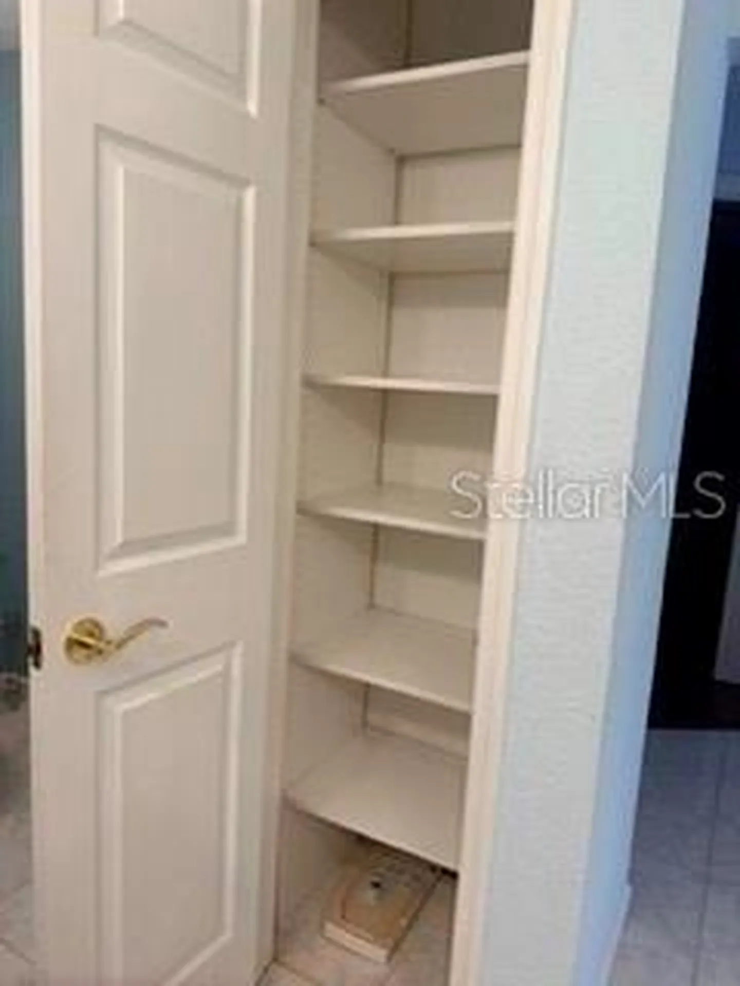 485 Westlake Boulevard Palm Harbor FL 34683