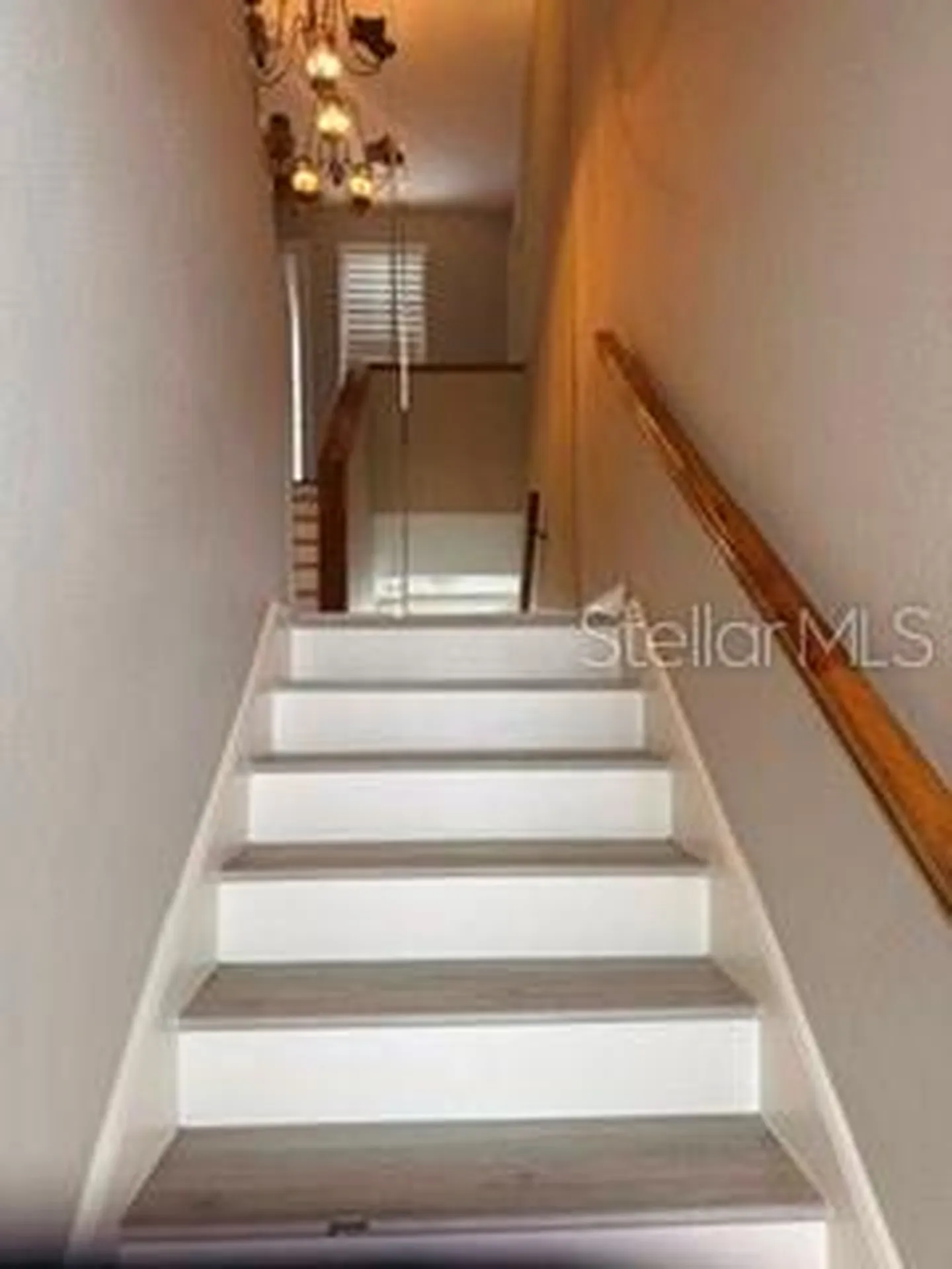 485 Westlake Boulevard Palm Harbor FL 34683