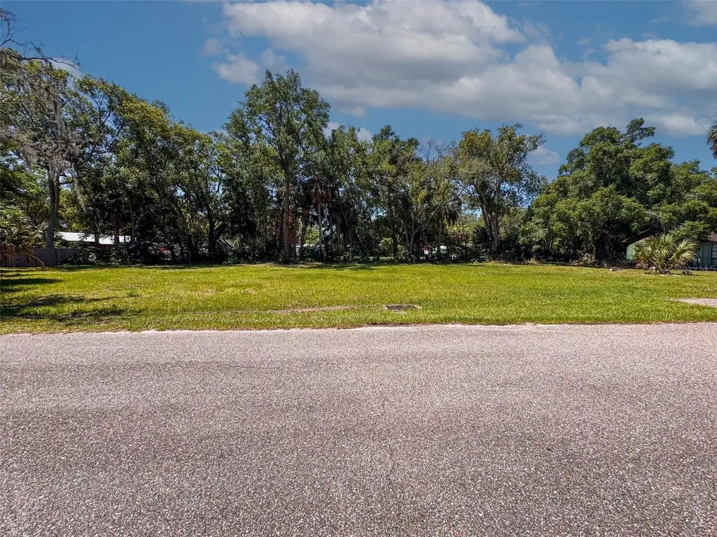 Lot 00200 Lenord Street Umatilla FL 32784