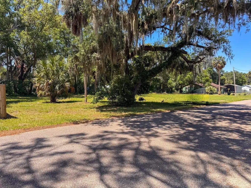 Lot 00200 Lenord Street Umatilla FL 32784