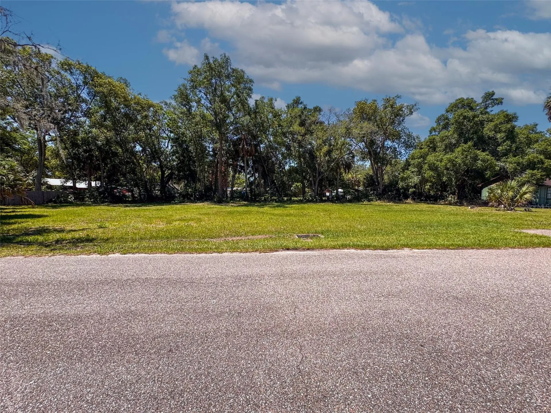 Lot 00200 Lenord Street Umatilla FL 32784