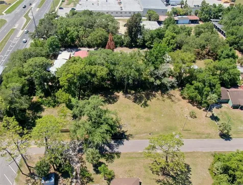 Lot 00200 Lenord Street Umatilla FL 32784