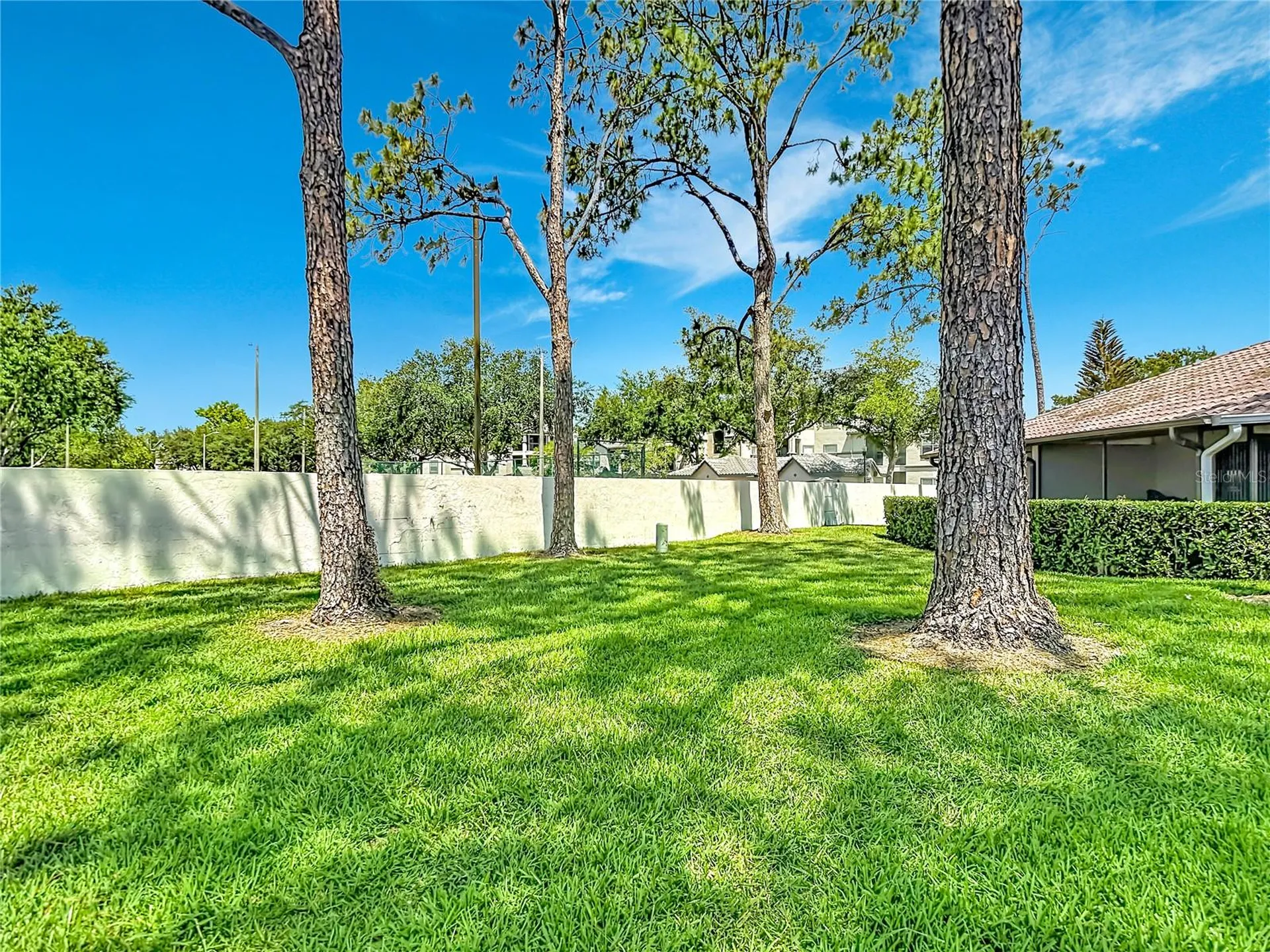 18312 Aintree Court Tampa FL 33647