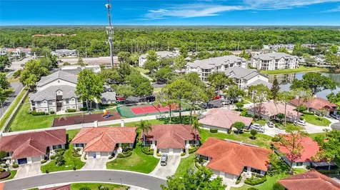 18312 Aintree Court Tampa FL 33647